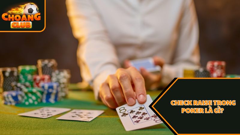 Check raise trong poker là gì? 